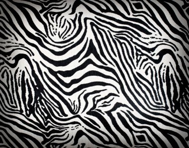 Zebra kumaş arka plan