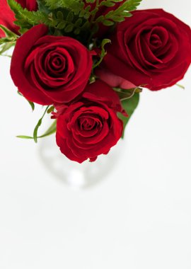 Yukarıda kırmızı gül