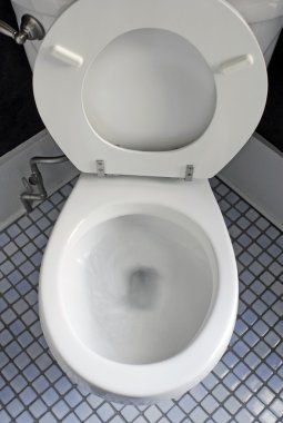 Sifonu Çekme Tuvaleti