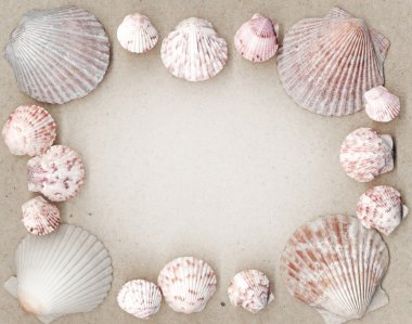 Tarak Shell çerçeve