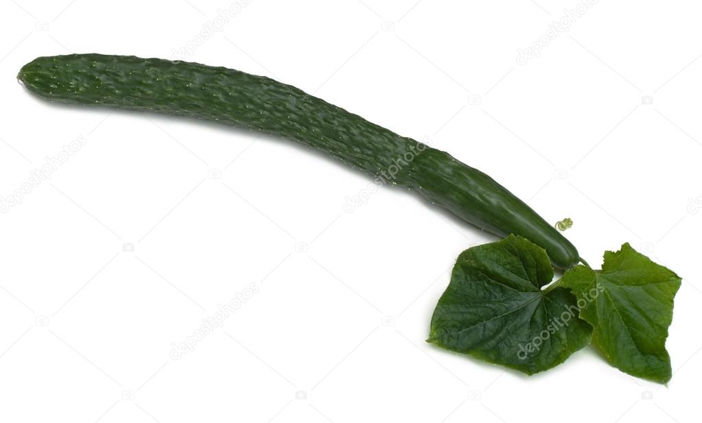 Large English Cucumber