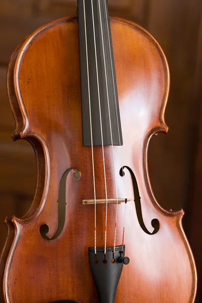 Retrato de violino — Fotografia de Stock