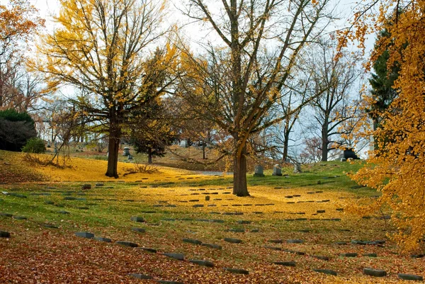 在公墓的金色秋天天 — 图库照片