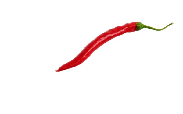 Isolated Red Pepper — Stock Photo, Image