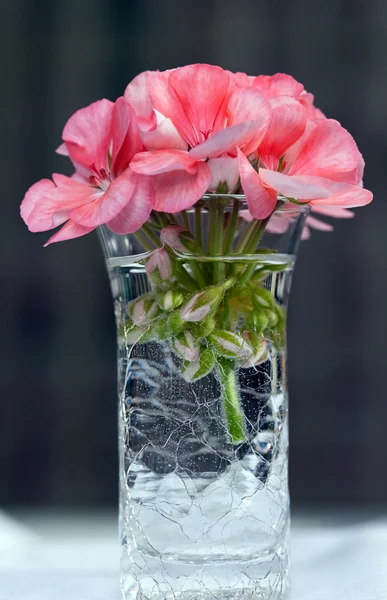 Pink Flowers in Vase — Stock Photo, Image