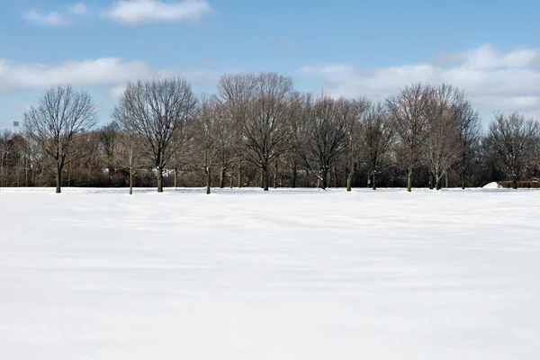 Område f snö med trädgränsen — Stockfoto