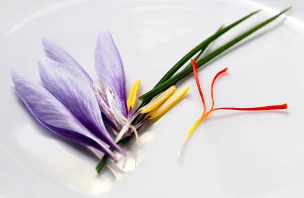 Saffron Flower Parts — Stock Image Saffron Flower Parts Stock Picture