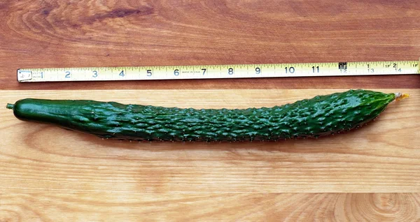 Burpless Cucumber with Tape Measure — Stock Photo, Image