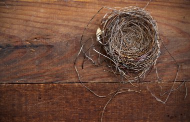 Yıpranmış tahta üzerinde doğal yuva