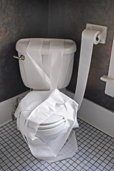 Toilet Papered — Stock Photo, Image