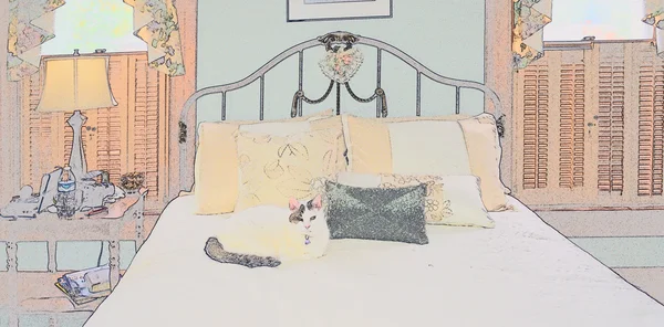 Gato branco na cama Pastel Sketch — Fotografia de Stock