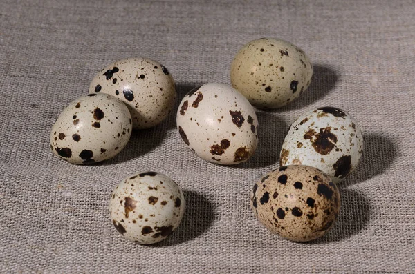 7つの斑点のあるウズラの卵は 薄い茶色のキャンバステーブルクロスにあります — ストック写真