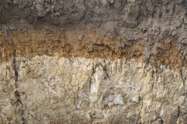 Toprak kabuğunun üç farklı renk katmanından bir kesiği: kara toprak, çamur ve çamur.