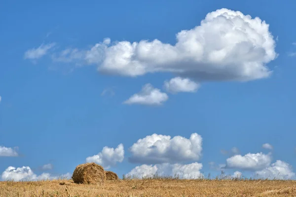 収穫した小麦畑の上に青空の積雲 干し草だ 農業景観 — ストック写真
