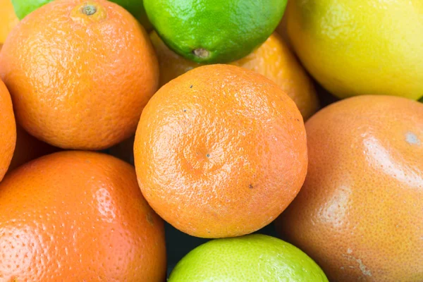 Assortment of citrus fruits. — Stock Photo, Image