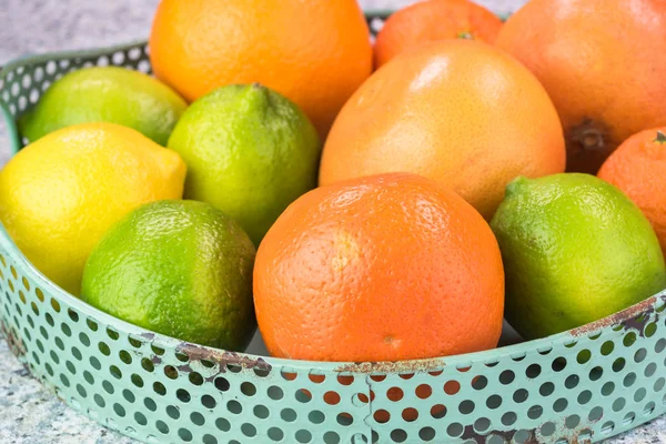 Assortment of citrus fruits. — Stock Photo, Image