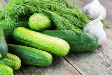 Çiftlik Organik salatalık ve taze dereotu.