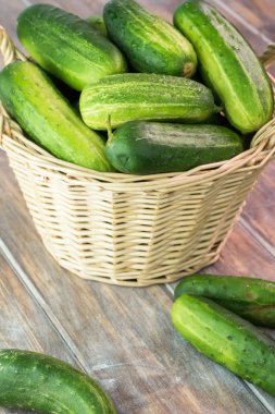 Sepet içinde çiftlik Organik salatalık.