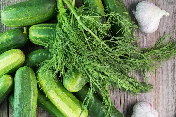 Bio-Gurken und frischer Dill. — Stockfoto