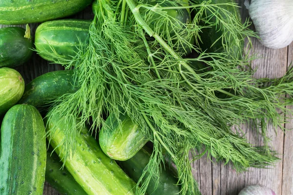 Bio-Gurken und frischer Dill. — Stockfoto