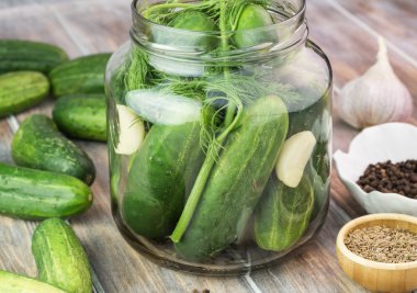 Çiftlik Organik salatalık.