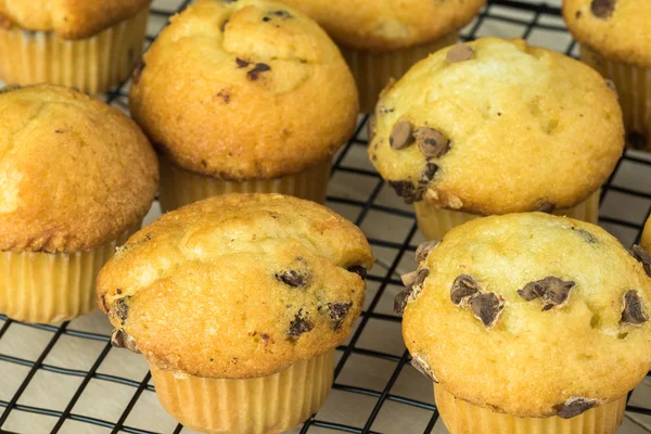 Mini čokoládový čipy muffiny. — Stock fotografie