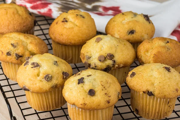 Mini čokoládový čipy muffiny. — Stock fotografie