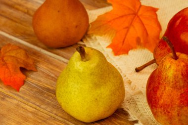 Yeni hasat çeşitli armut.