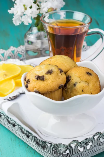 Mini chocolate chips muffins on a tray. — Stock Photo, Image