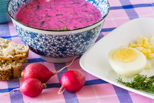 Kalte Rübenwurzelsuppe. — Stockfoto