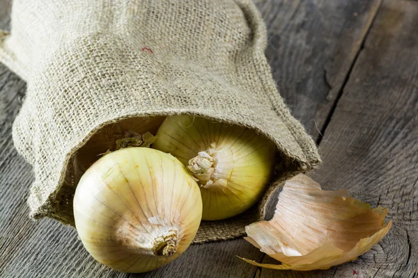 Cebollas . — Foto de Stock