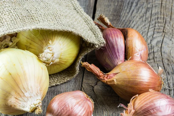 Cebollas . — Foto de Stock