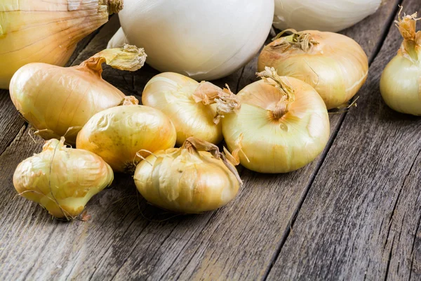 Zwiebeln. — Stockfoto