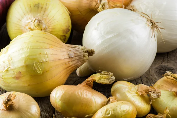 Zwiebeln. — Stockfoto