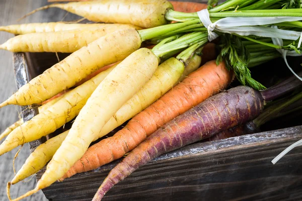 Carrots. — Stock Photo, Image