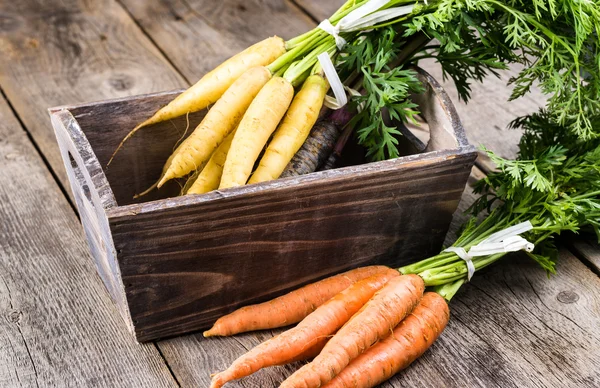 Zanahorias. — Foto de Stock