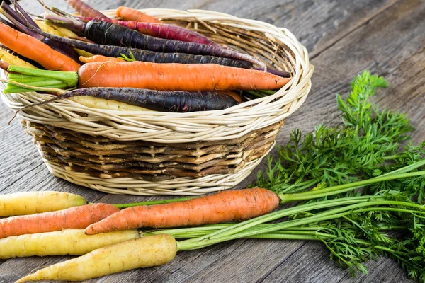 Zanahorias. — Foto de Stock