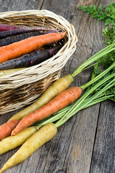 Zanahorias. — Foto de Stock