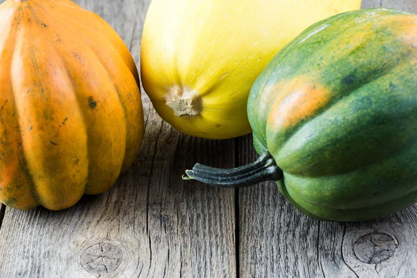 Squash. — Stockfoto