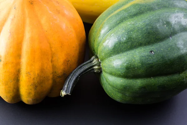 Squash. — Stockfoto