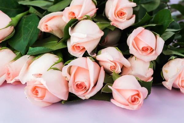 De belles roses pour la Saint Valentin . — Photo
