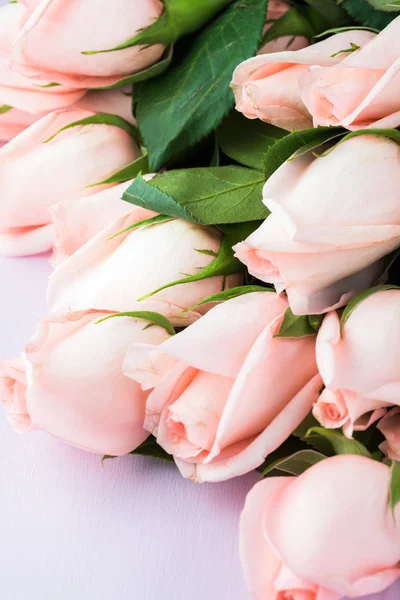 バレンタインの日の美しいバラの花. — ストック写真