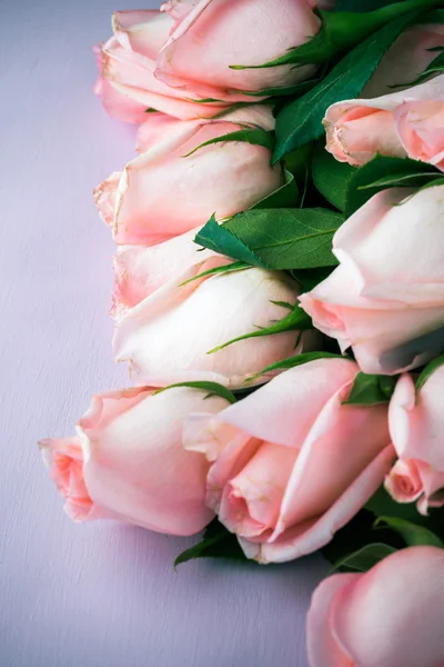 De belles roses pour la Saint Valentin . — Photo