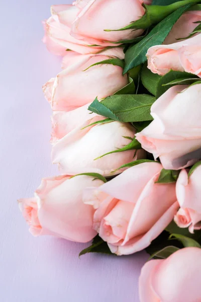 バレンタインの日の美しいバラの花. — ストック写真