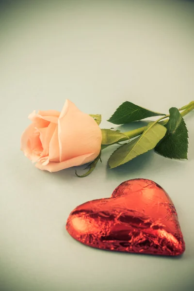 Schöne Rose zum Valentinstag. — Stockfoto