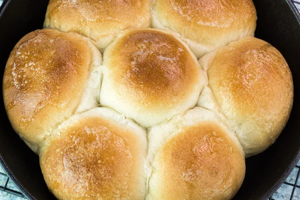 Fresh baked dinner rolls. — Stock Photo, Image