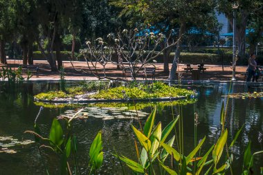 Parkın güzel manzarası