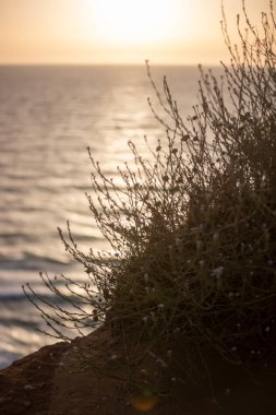 Denizde güzel bir gün batımı