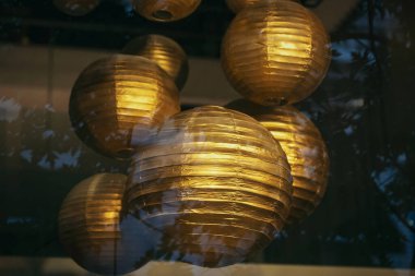 Bir bardak balığa yaklaş.