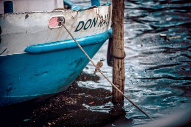 Sahilde bir balıkçı teknesi